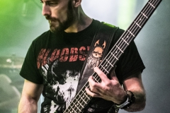 needle-nuernberg-hirsch-2021-08-01-9631