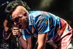 needle-nuernberg-hirsch-2021-08-01-9633