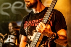 needle-nuernberg-hirsch-2021-08-01-9647