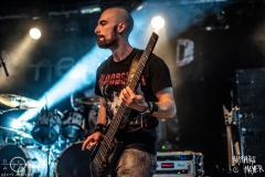 needle-nuernberg-hirsch-2021-08-01-9648