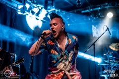 needle-nuernberg-hirsch-2021-08-01-9653