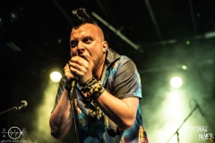 needle-nuernberg-hirsch-2021-08-01-9671