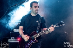 needle-nuernberg-hirsch-2021-08-01-9674