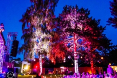 Parallel_Phungo_14082021_22