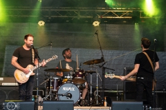 Apewards_Floersheim_Kultur_Im_Garten_2021_08_21_9012_Patrick_Suess