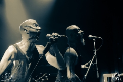 20210827212512_IMG_9044-1_682707460864576