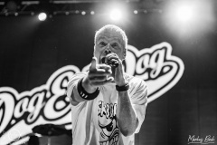 Dog-eat-Dog-Mannheim-X-Over-Mannem-fr-27-05-2022-MaB-DSC2830