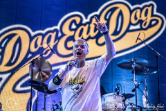 Dog-eat-Dog-Mannheim-X-Over-Mannem-fr-27-05-2022-MaB-DSC3046