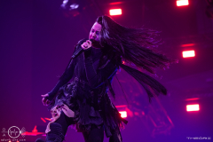 Evanescence-Frankfurt-Festhalle-23-11-2022-016