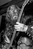 Slechtvalk-Morgarten-Fest-0109-2023-StS-05964-severe-noise