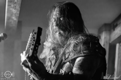 Slechtvalk-Morgarten-Fest-0109-2023-StS-06106-severe-noise