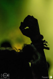 Heavysaurus-Wuerzburg.11.02.2023-rh-001