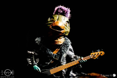 Heavysaurus-Wuerzburg.11.02.2023-rh-007