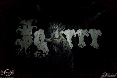 Igorrr-Wiesbaden-1503-2023-StS-2-44