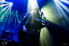 Aux-Animaux-Ruesselsheim-DasRind_18-04-2023-PS_5944