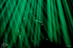 Aux-Animaux-Ruesselsheim-DasRind_18-04-2023-PS_6371