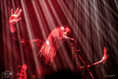 Aux-Animaux-Ruesselsheim-DasRind_18-04-2023-PS_6384