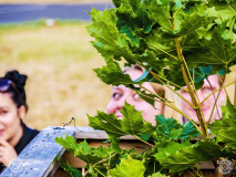 Atmosphaere-Dieburg-Traffic_Jam-FR-21-07-2022-TF-19