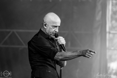 Wesselsky-koeln-amphi-sa-29-07-23-AH-09