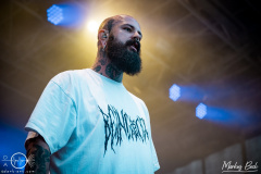 Being-as-an-Ocean-Bad-Duerkheim-Fallen-Fortress-Open-Air-Fr-26-08-2023-MaB-DSC8203