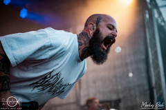 Being-as-an-Ocean-Bad-Duerkheim-Fallen-Fortress-Open-Air-Fr-26-08-2023-MaB-DSC8210