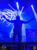 Ingested-Wiesbaden-Schlachthof-07_12_2023-TF-1