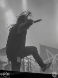 Ingested-Wiesbaden-Schlachthof-07_12_2023-TF-19