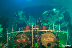Accept-Koeln-CarlswerkVictoria-13.12.2023-LW-39