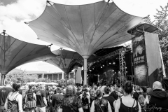 impressionen-koeln-amphi-gemischt-AH-12