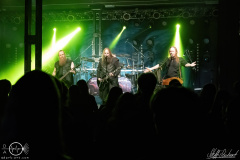 Metsatoell-Mannheim-2110-2023-StS-05121-severe-noise