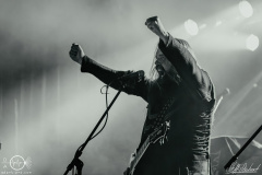 Metsatoell-Mannheim-2110-2023-StS-05231-severe-noise