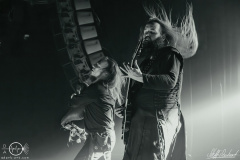Metsatoell-Mannheim-2110-2023-StS-05321-severe-noise