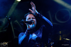 Elvellon-Ruesselsheim-Das-Rind-02-02-2024-PS0900-