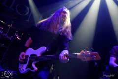 Elvellon-Ruesselsheim-Das-Rind-02-02-2024-PS1223-