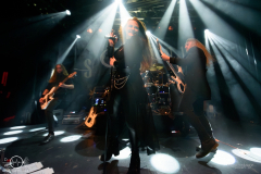 Elvellon-Ruesselsheim-Das-Rind-02-02-2024-PS1309-