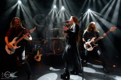 Elvellon-Ruesselsheim-Das-Rind-02-02-2024-PS1477-