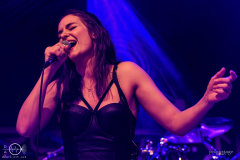 Postmodern-Fantasy-Ruesselsheim-Das-Rind-02-02-2024-PS0621-