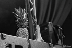 Stillbirth-Geiselwind-1702-2024-StS-02279-severe-noise