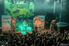 Stillbirth-Geiselwind-1702-2024-StS-02848-severe-noise