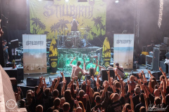 Stillbirth-Geiselwind-1702-2024-StS-03033-severe-noise