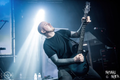 Saor-Mead-and-Greed-2024-fr-mm-MG1_2222-done