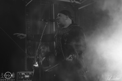 Opacity-Mittsommernaechte-Baerenstein-Metal-Set-2206-2024-StS-13