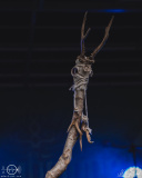 Sagenbringer-Mittsommernaechte-Baerenstein-2206-2024-StS-04857