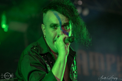 Project-Pitchfork-Koeln-Amphifestival-Sa-27-07-2024-AH-12