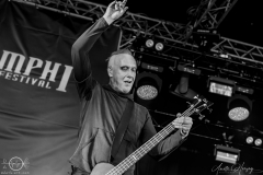 Solar-Fake-Koeln-Amphifestival-So-28-07-2024-AH-23
