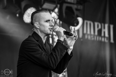 Solar-Fake-Koeln-Amphifestival-So-28-07-2024-AH-3