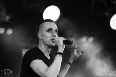 Solar-Fake-Koeln-Amphifestival-So-28-07-2024-AH-33