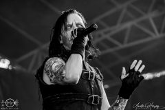 The-Other-Koeln-Amphifestival-So-27-07-2024-AH-10
