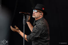Die-Herren-Wesselsky-Hildesheim-Mera-Luna-Sa-10-08-2024-ES-PIY_9952