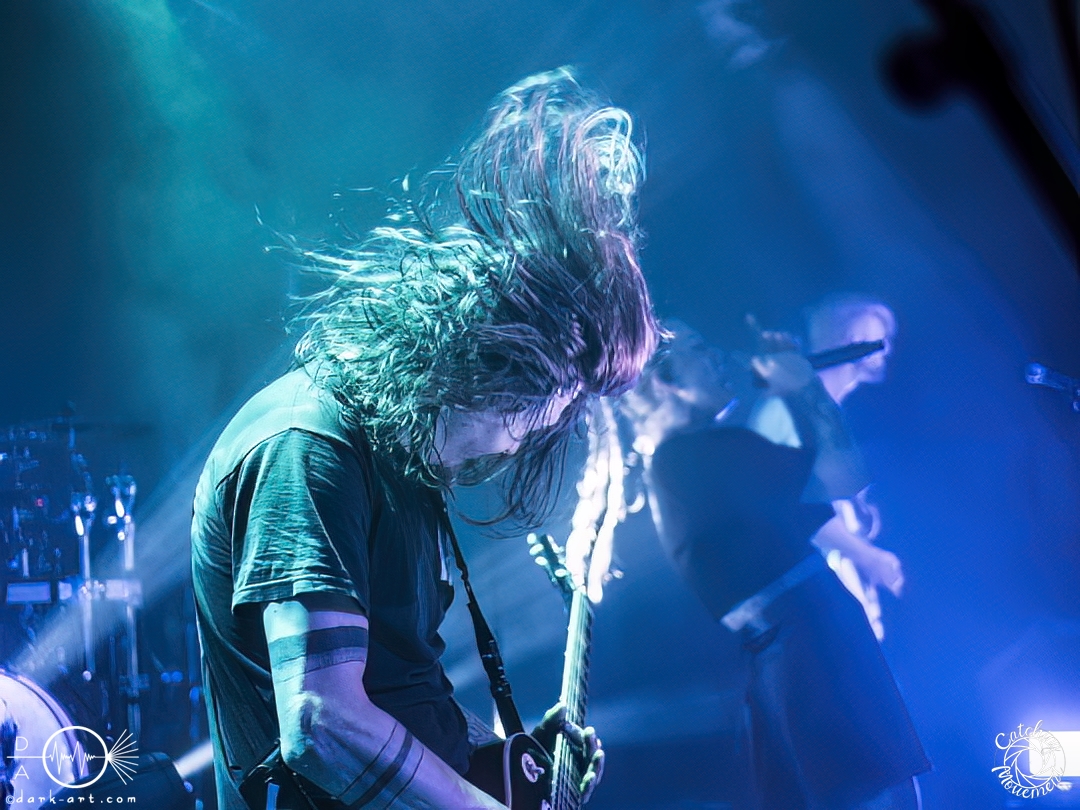 The_Tex_Avery_Syndrome-Frankfurt-Das_Bett-19-08-2024-TF-22